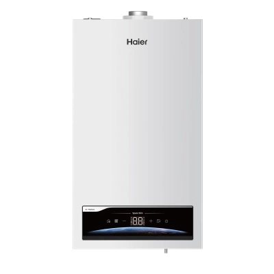 Настенный газовый котел Haier SpaceSlim 2.24 TW фото 3