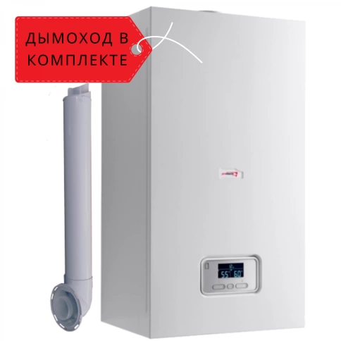 Газовый котел Protherm 25 KTO Пантера фото 2