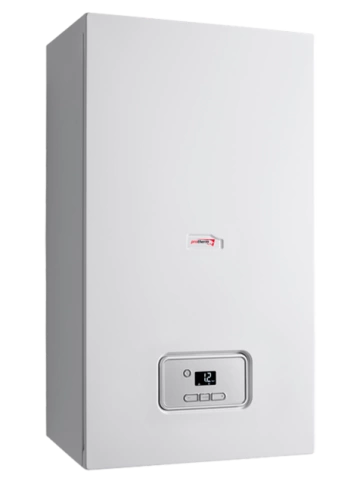 Газовый котел Protherm 23 MTV Гепард фото 1